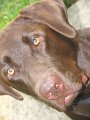 2010-06_17_0037 Portrait
